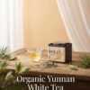 White Dragon Organic Silver Needle White Tea (Bai Hao Yin Zhen) – 50g | Handpicked Buds, Yunnan