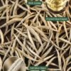 White Dragon Organic Silver Needle White Tea (Bai Hao Yin Zhen) – 50g | Handpicked Buds, Yunnan
