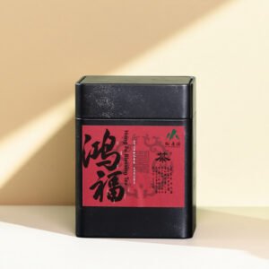 2018 Gao Ma Er Xi Anhua Fu Tea Brick | 200g Rare Dark Tea from Hunan, China – Limited Vintage