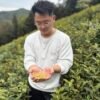 Golden buds Yixing green tea 50g