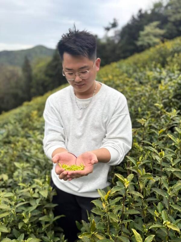 Golden buds Yixing green tea 50g